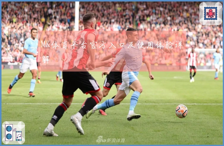 MK体育平台官方入口及使用体验详解